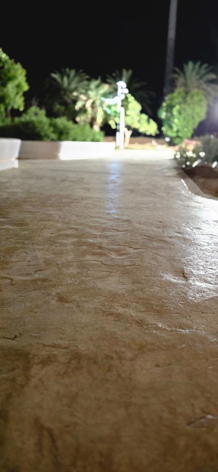 WhatsApp Image 2025-12-01 at 12.31.30_40869c63